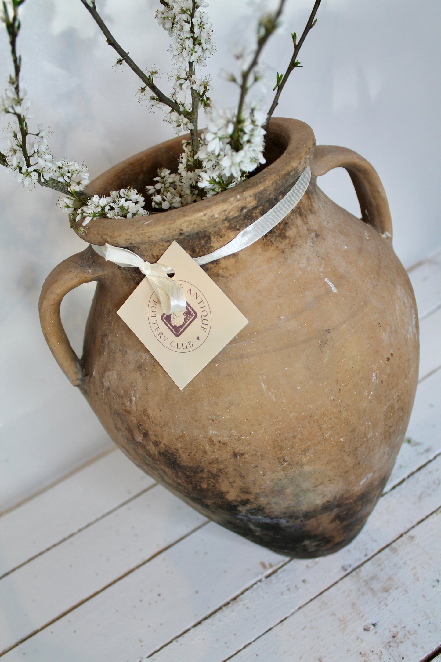 No.50 Antique pot